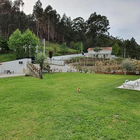 Quinta Da Tormenta -14 Pessoas- Cabeceiras De Basto 2 Casas E Piscina Privada Villa Exterior foto